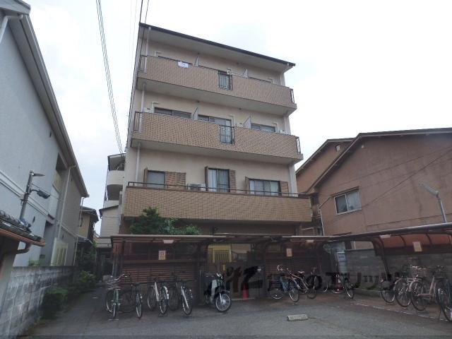 ナガオカームリー