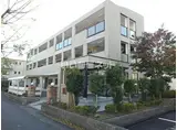 グリーン.アヴェニュー