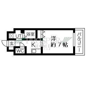 FELIZ GALAXY(1K/7階)の間取り写真