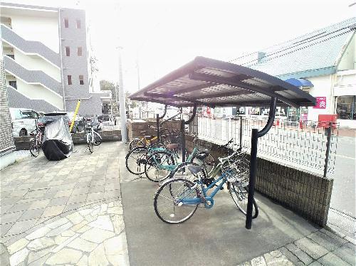 レオネクスト晋