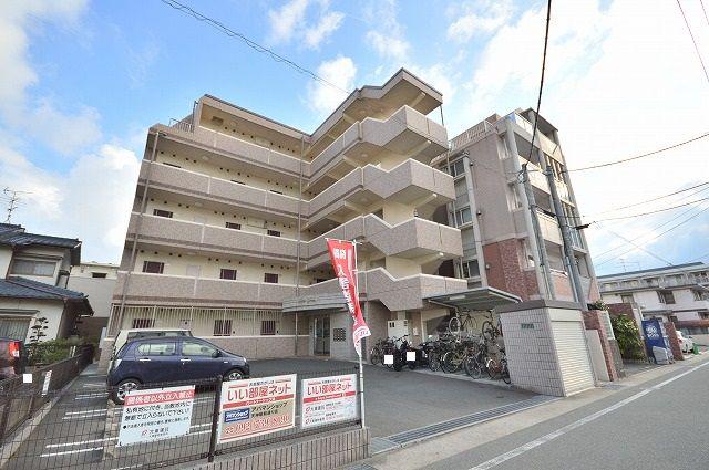 エバー グリーン