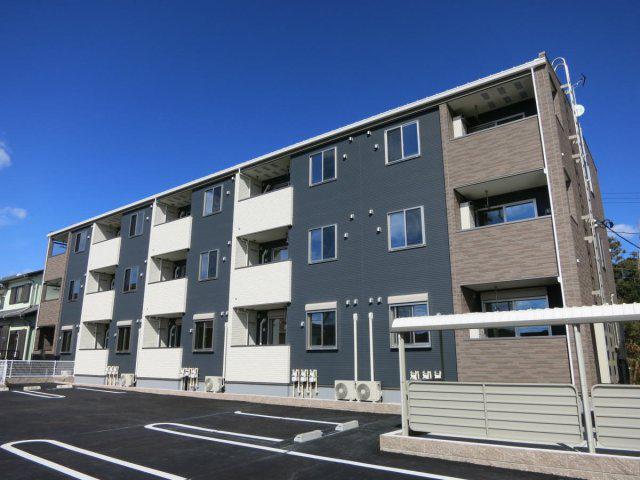 モデッサ 井上