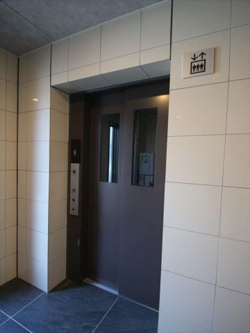 フリーダムファン