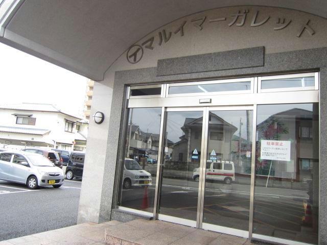 マルイマーガレット