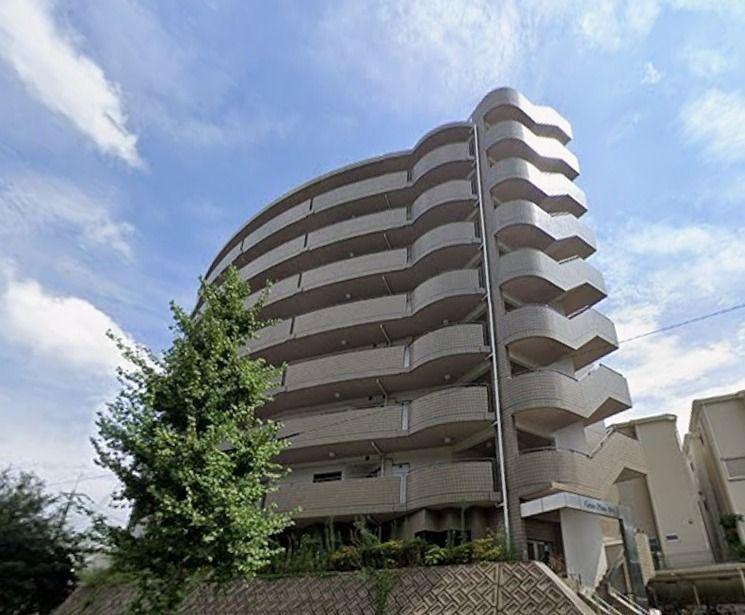 GRANPINO柴原