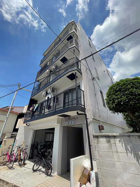 コレクション堺市駅