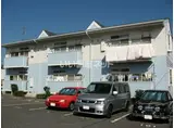 ニューシティ66