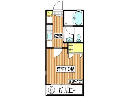 シャテロ(1K/1階)の間取り写真