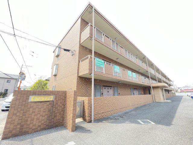 モアル ヤタ藤