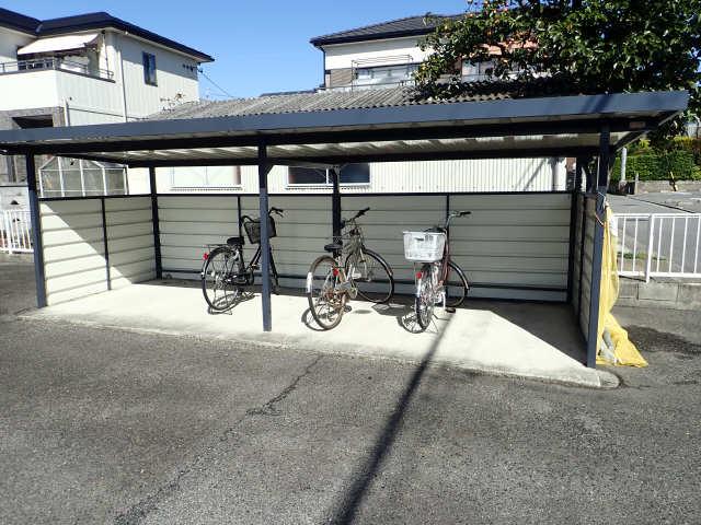 タウニーY3Y5