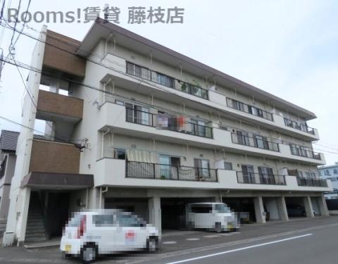 きめたマンション(3DK/3階)