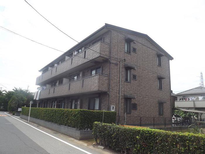 ジャーマンアイリスII