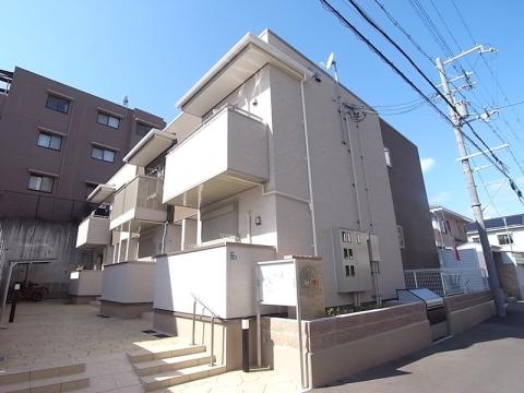 アルビコッコ