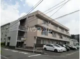 清水マンション