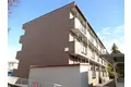 サンシルク21