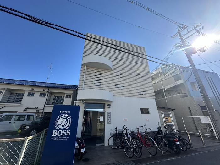 シロハイヌ