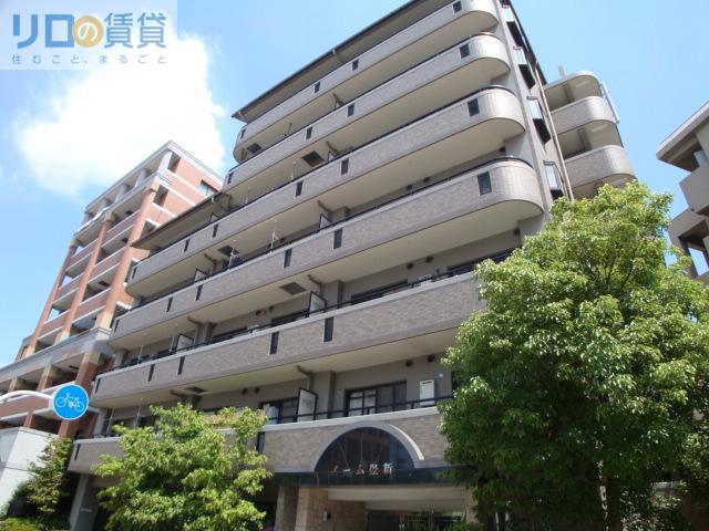 ノーム豊新