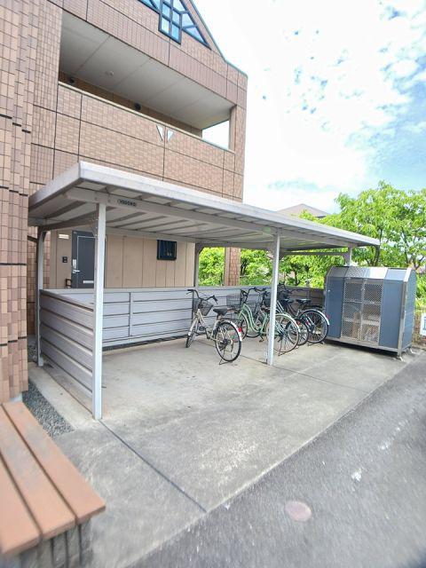 サンフィット