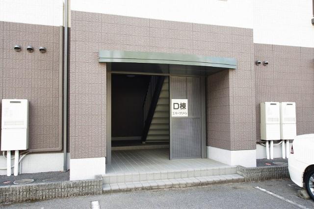 エバーグリーン C