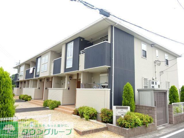 プラスターナ