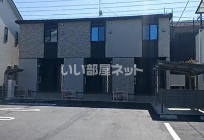 モデルノ クスノキ