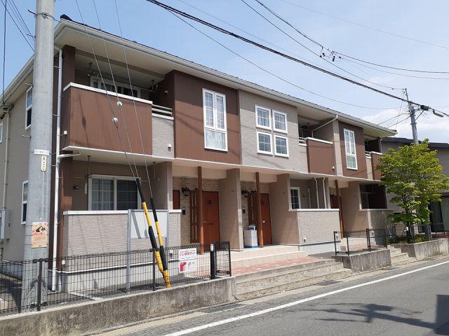 コモド・セスタ