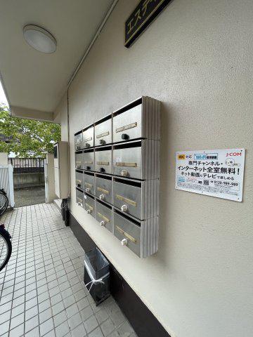 エスティスルガ