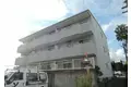 ライム21