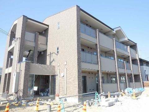 フェリス ウラタ