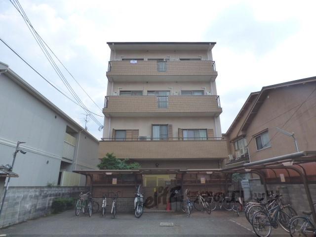 ナガオカームリー