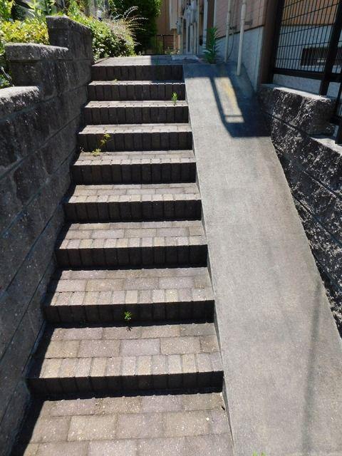 ミリアーデ社台C棟