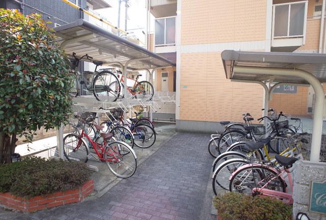 カームカーサ