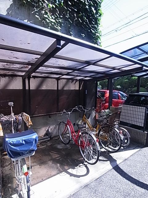 パールコースト