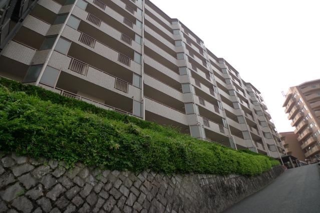 シャルマン古江