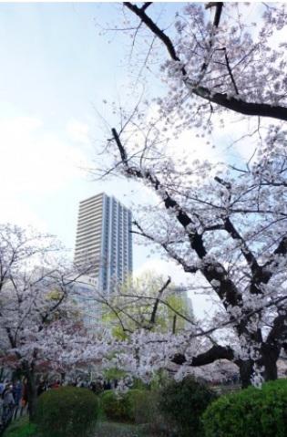 BRILLIATOWER上野池之端