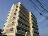 ベルトピアエグゼ福岡II