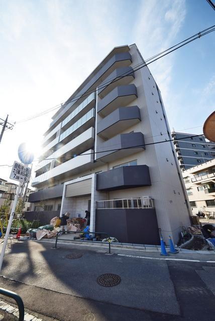 ホワイル椿