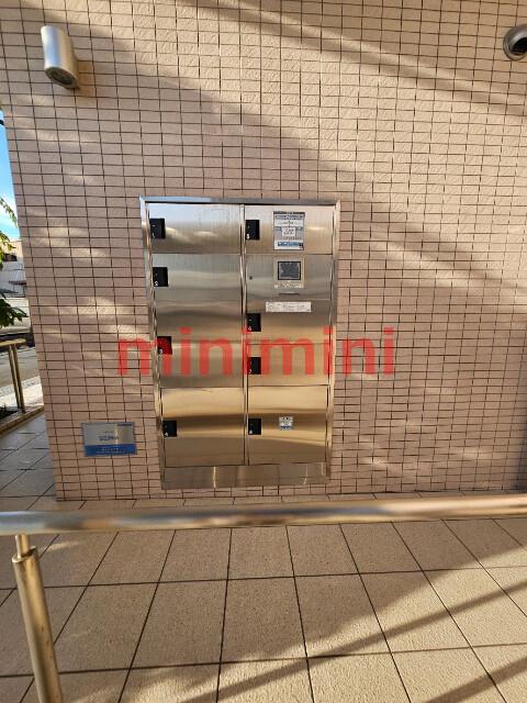 フル・ブルーム