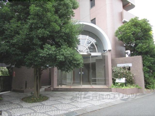 オットピアニ