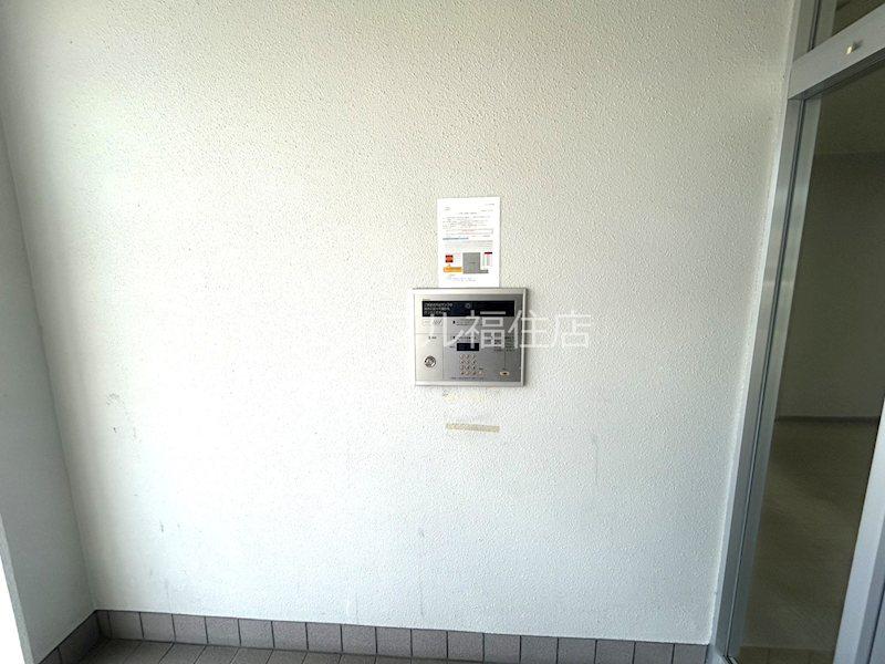 サラサ月寒西