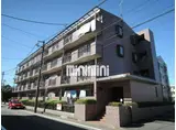 プリベールカデット十日市場