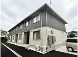 ゴールド フォレスト