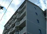 マンション白崎