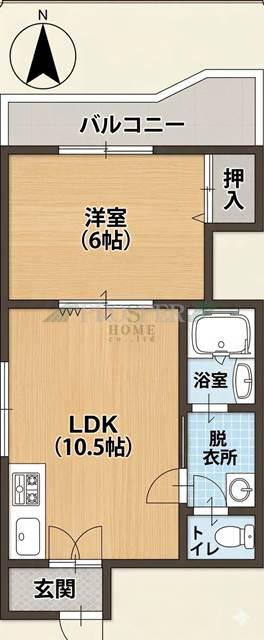 ハイツ泰陽(1LDK/4階)の間取り写真