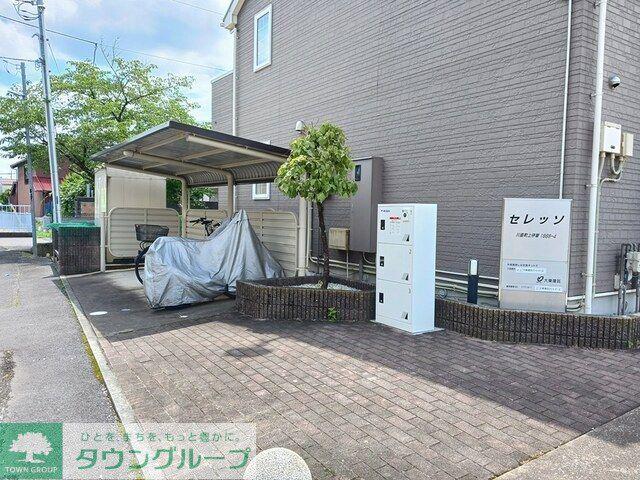 セレッソ