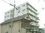 クリスタル長居