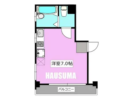 GSハイム巣鴨(ワンルーム/9階)の間取り写真