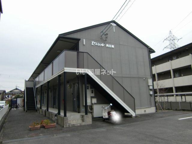 セジュール向日葵