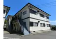 葡萄の樹II