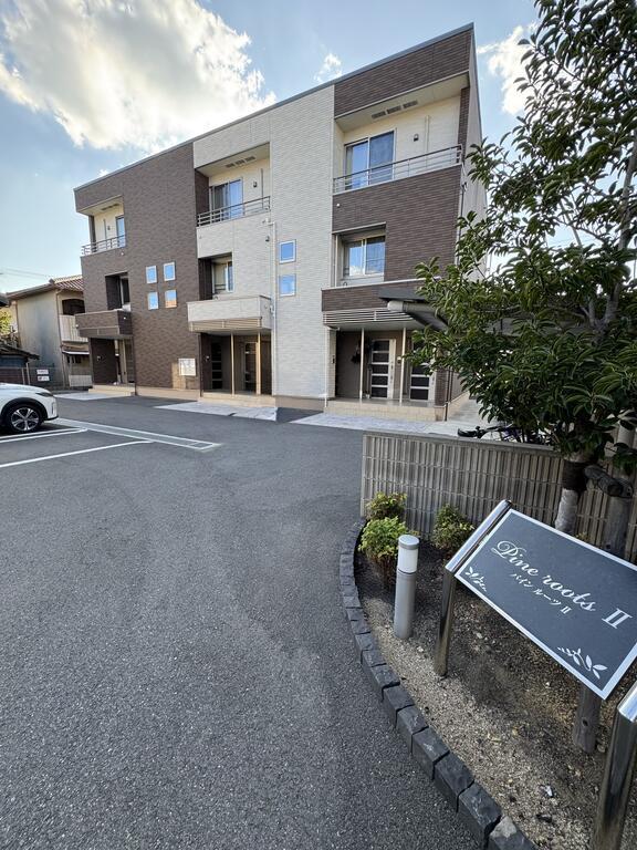 パインルーツII